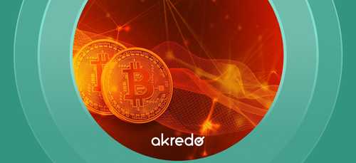 Initial Coin Offering 2025