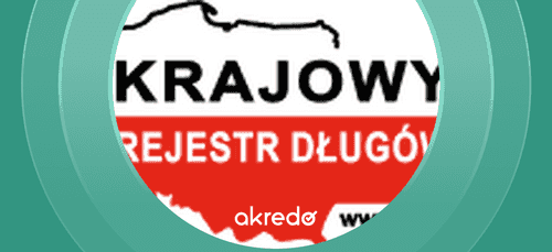 Krajowy Rejestr Długów - Co się w nim znajduje?
